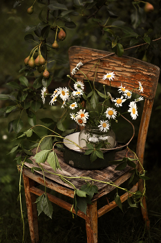 With daisies ... / ........................