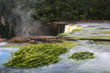 At the waterfall / ***