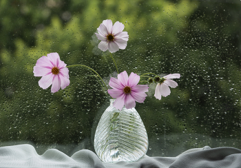 &nbsp; / 26-06-2025.