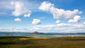 Belogrivov horses / ***