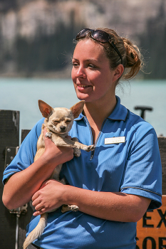 Lady with a dog / ```