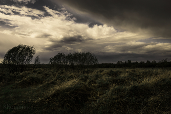 No name / ***