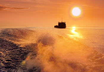 Fog dissipates / ***