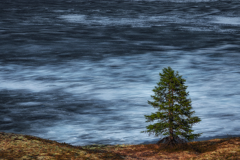 The June the ice / ***