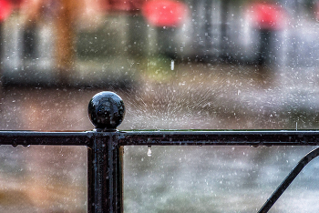 Rain / ***
