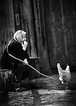 old woman and a hen / ***