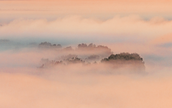 Island / ***