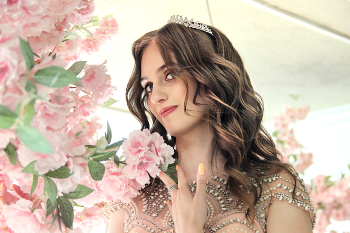 Cherry blossom / ***