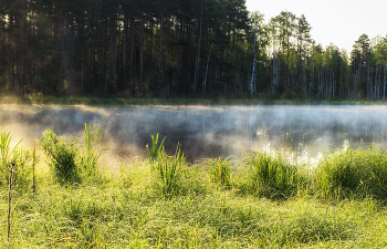 Morning on the lake / ***