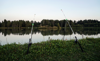 Evening fishing / ***