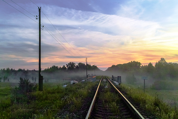 in fog / ***