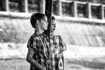 Rain / ***