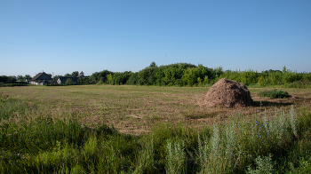 haymaking / ***