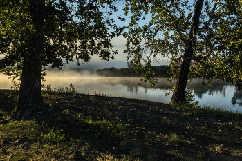 Foggy morning / ***