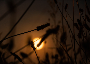 At Night / ***