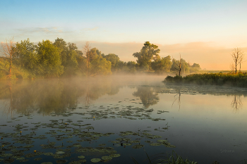 Summer morning. / ***