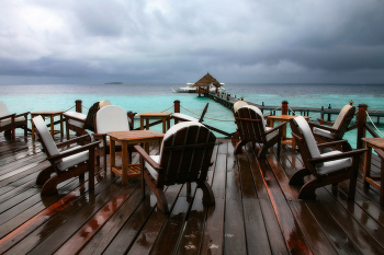 After the rain ... / ***