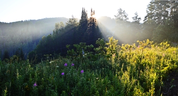 The sun rises / ***