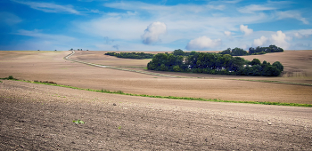 road in a field / ***