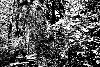 Life around / ***