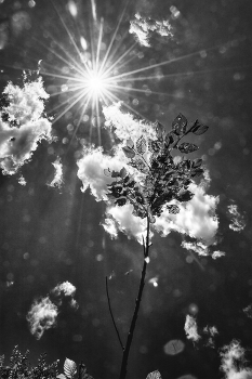 Life around / ***