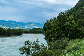 Altai Mountains / ***