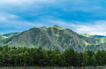 Altai Mountains / ***