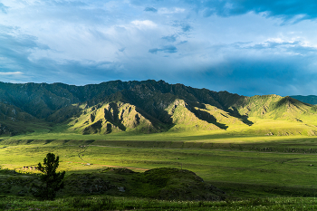 Altai Mountains / ***