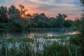 Summer morning. / ***