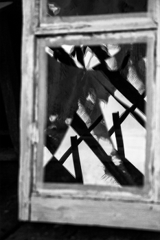 Life around / ***