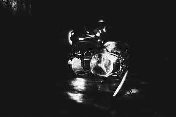 Life around / ***