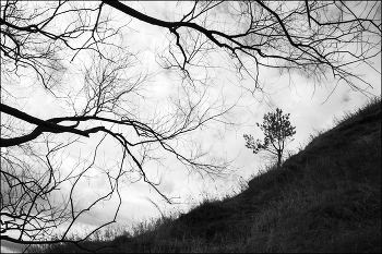 Theater / ***