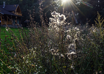 house on the outskirts of / ***