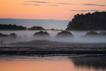 Foggy morning / ***