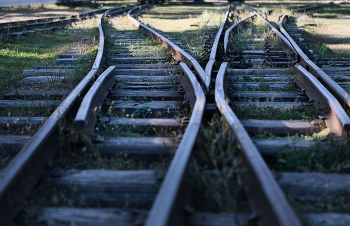 The roads we take / ***