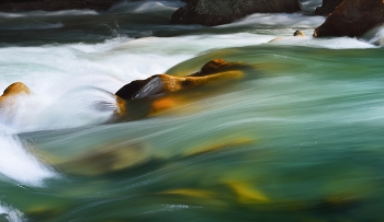 Mountain Stream / ***