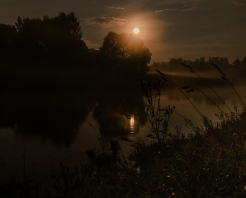 Moonlight night / ***