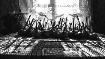 Life around / ***