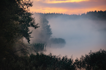 in the autumn forest / ***