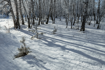 about winter / ***
