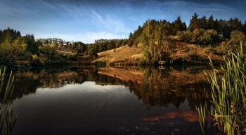 Morning on the lake / ***