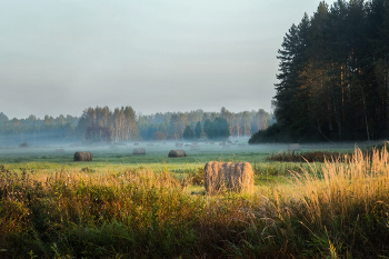 gentle morning / ***