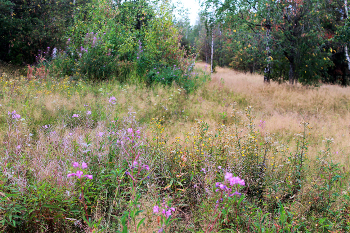 The end of the summer / ***