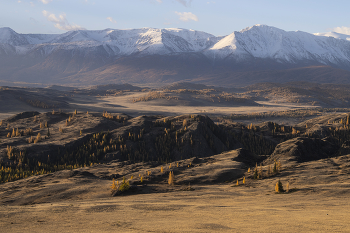 Altai autumn / ***