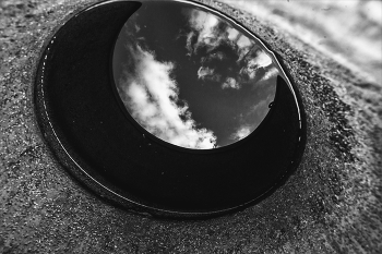 Life around / ***