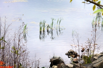Rushes / ***