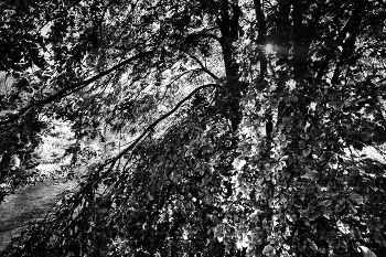 Life around / ***