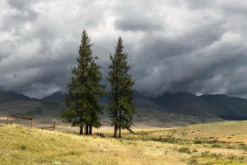 Before the rain / ***
