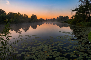 In the morning / ***