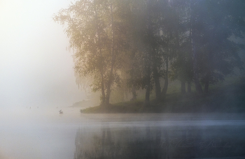 Misty Morning, morning sedoe ... / ***